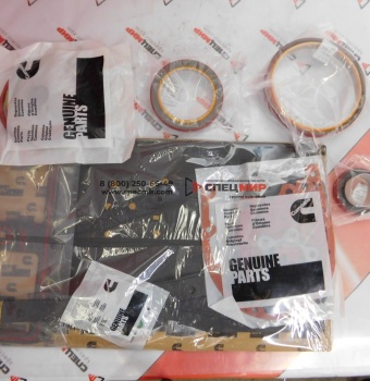 Ремкомплект топливного насоса XCMG и LiuGong WD10G220,880578575,9212258786