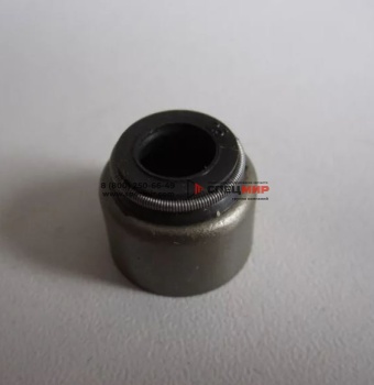 Колпачек маслосъемный BAW-Fenix 1007035-X