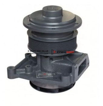 Насос водяной Shaanxi 612630060080