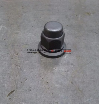 Гайка шпильки заднего колеса HOWO EG9003884160