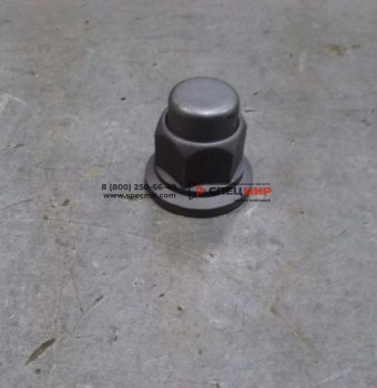 Гайка шпильки заднего колеса HOWO EG9003884160
